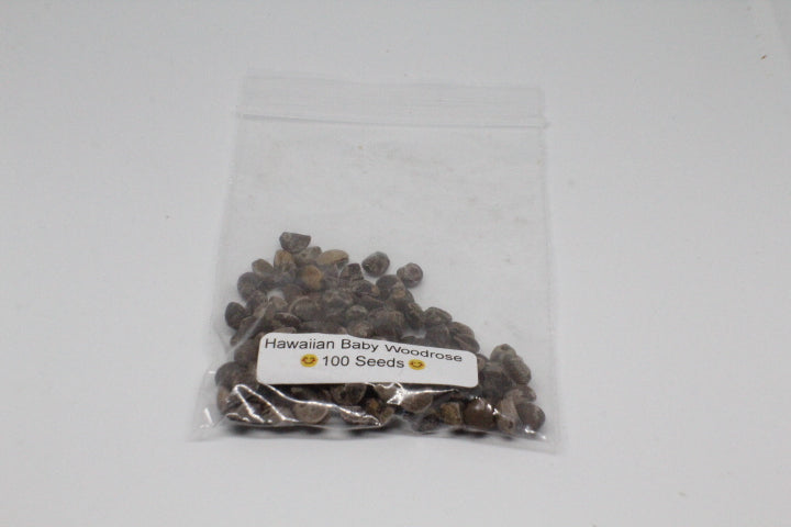 Hawaiian Baby Woodrose Seeds