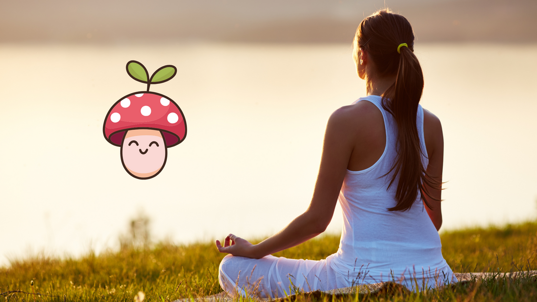 Amanita Muscaria and the Nervous System: A Holistic Perspective