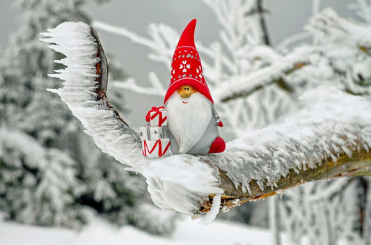 Santa Claus resembling Amanita muscaria