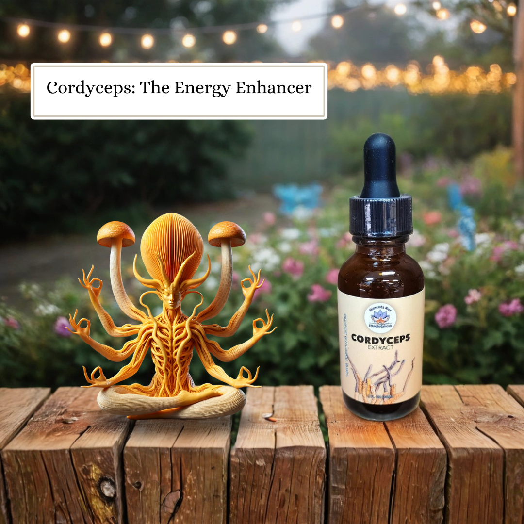 Image of Cordyceps tincture next to a meditating Shiva