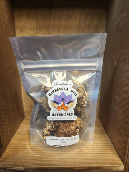 Package of Amanita pantherina for sale