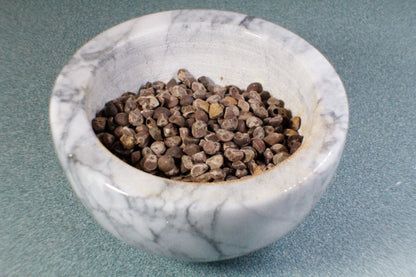 Hawaiian Baby Woodrose Seeds