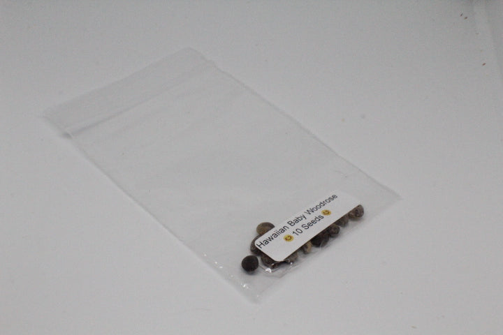 Hawaiian Baby Woodrose Seeds