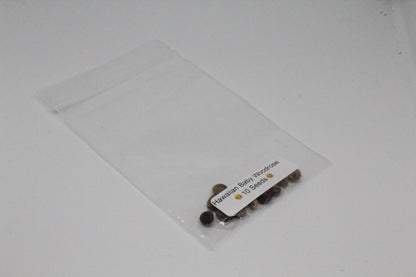 Hawaiian Baby Woodrose Seeds