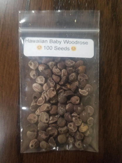 Hawaiian Baby Woodrose Seeds