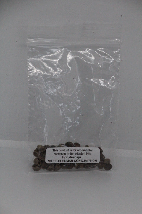 Hawaiian Baby Woodrose Seeds