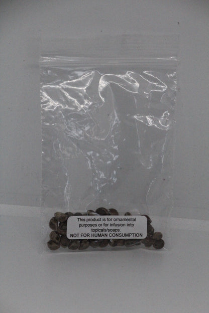 Hawaiian Baby Woodrose Seeds