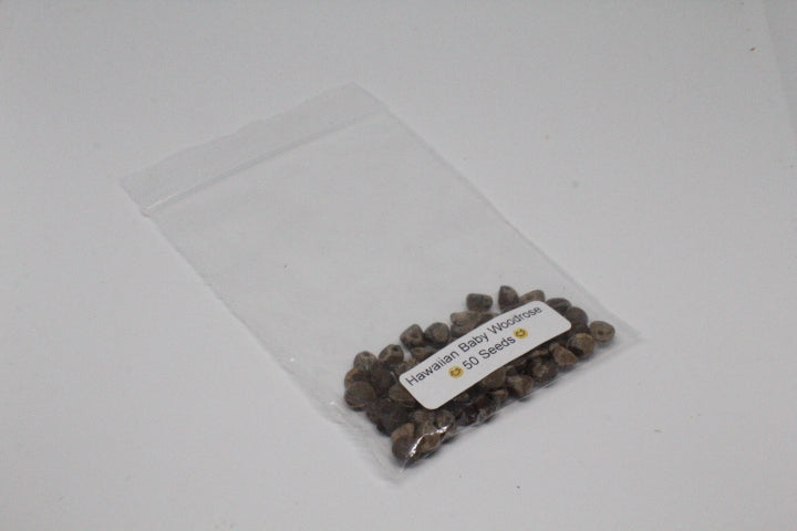Hawaiian Baby Woodrose Seeds